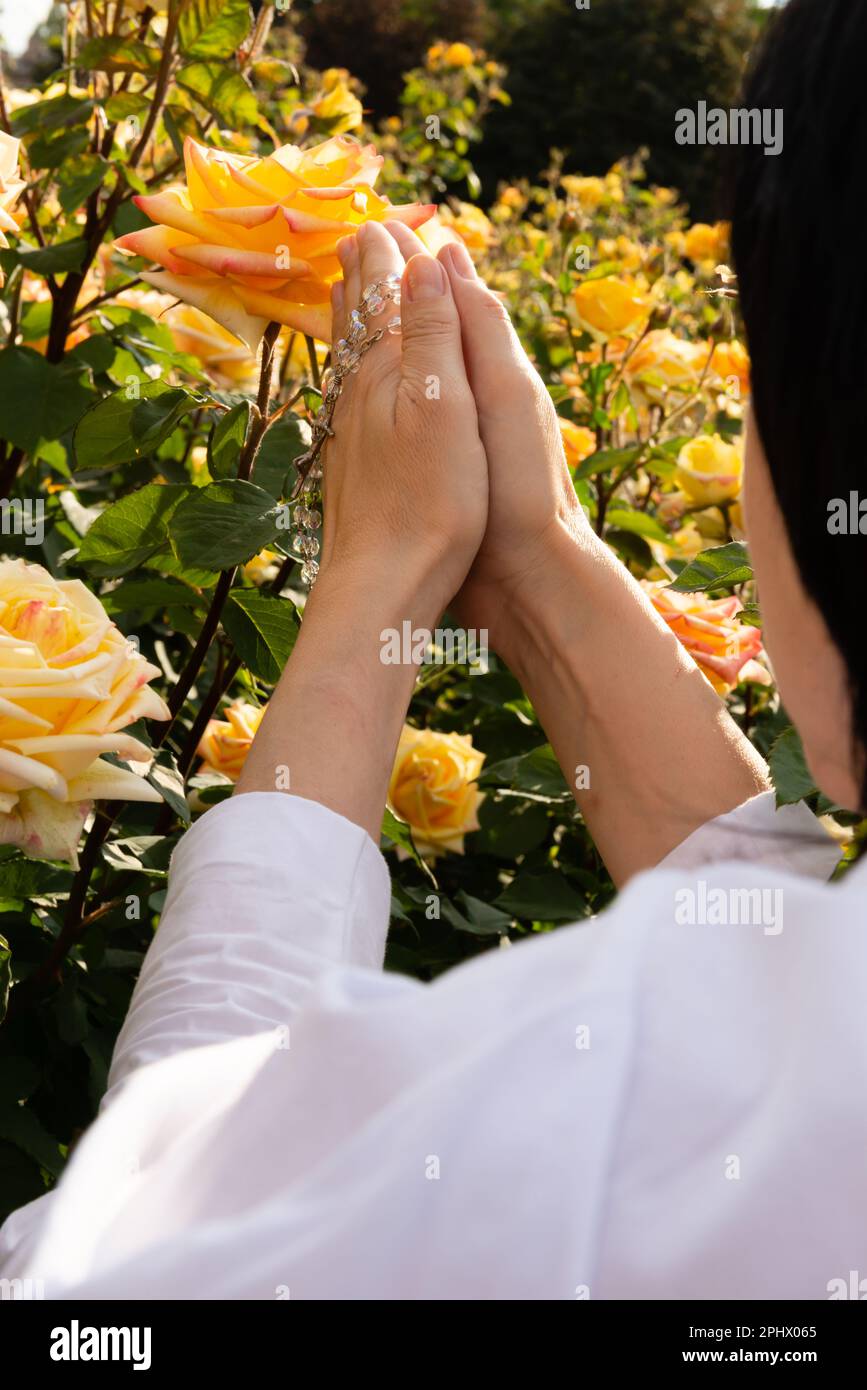 Über der Schulter sehen Sie eine betende Frau mit einem Rosenkranz in den Händen vor dem Hintergrund gelber Rosen an einem sonnigen Tag. Stockfoto