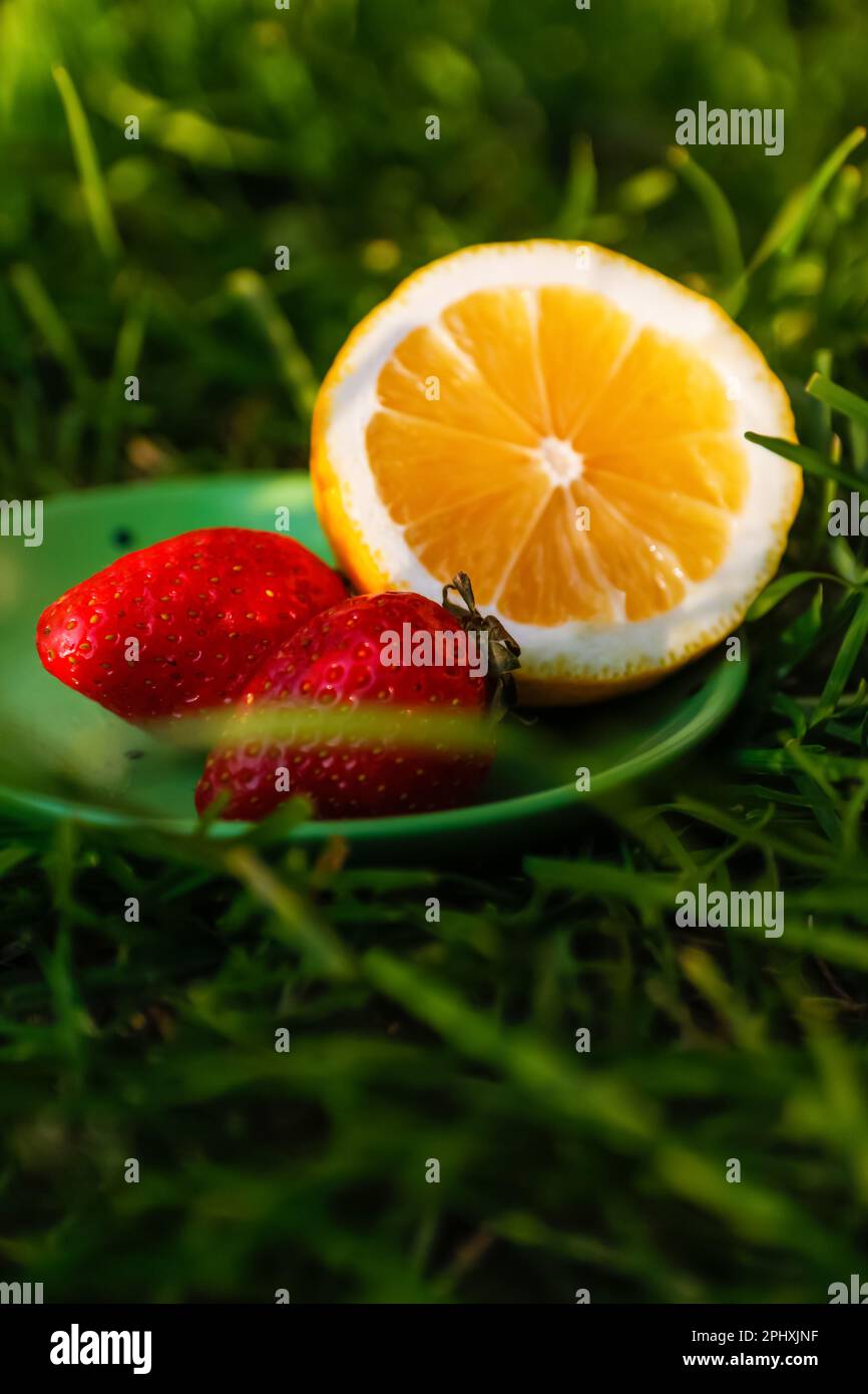 Unschärfe-Nahuntertasse mit Zitrone und zwei Erdbeeren auf tiefem grünen Gras. Verschwommener Naturhintergrund. Sommerfrüchte draußen, draußen. Sunshin Stockfoto