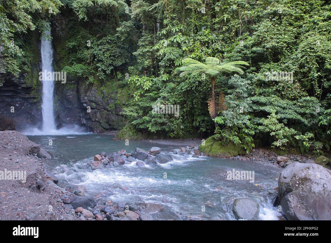 Der idyllische toskanische Wasserfall in Camiguin auf den Philippinen fließt in ein natürliches Wasserbecken, das vom Regenwald umgeben ist. Stockfoto