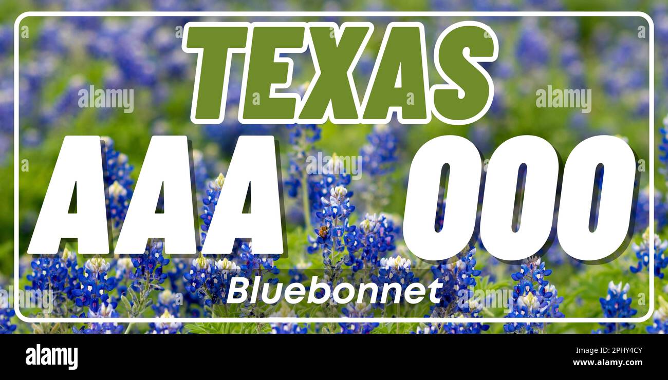 Fahrzeugkennzeichen in Texas in den Vereinigten Staaten von Amerika, Autokennzeichen. Führerscheinnummern verschiedener amerikanischer Staaten. Vintage-Druck für Grafiken, Aufkleber und Poster auf dem T-Shirt Stockfoto