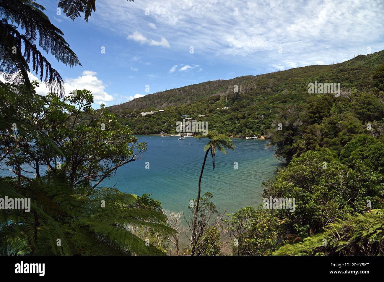 Blick auf Punga Cove, Endeavour Inlet, vom Queen Charlotte Track. Wanderer, die in Ship Cove beginnen, erreichen diese normalerweise in der zweiten Nacht ihrer Wanderung. Stockfoto