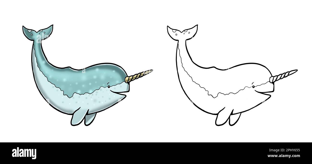 Süßer Narwal zum Ausmalen. Vorlage für ein Malbuch mit lustigen Tieren ...