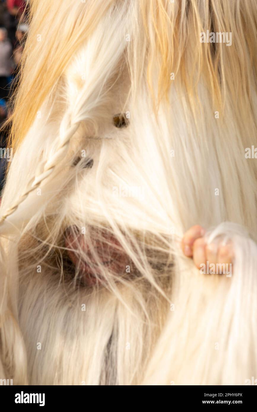 Kukeri-Tänzer rief Babuger mit Ziegenhaarkostüm beim jährlichen Simitlia Winter Festival in Simitli, Bulgarien, an Stockfoto