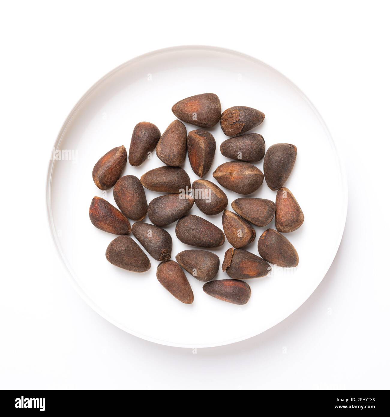 Samen einer Steinkiefer, in einem weißen Kunststoffdeckel, von oben. Nüsse aus einem Kegel von Pinus cembra, auch bekannt als Schweizer, Arolla oder österreichische Steinkiefer. Stockfoto