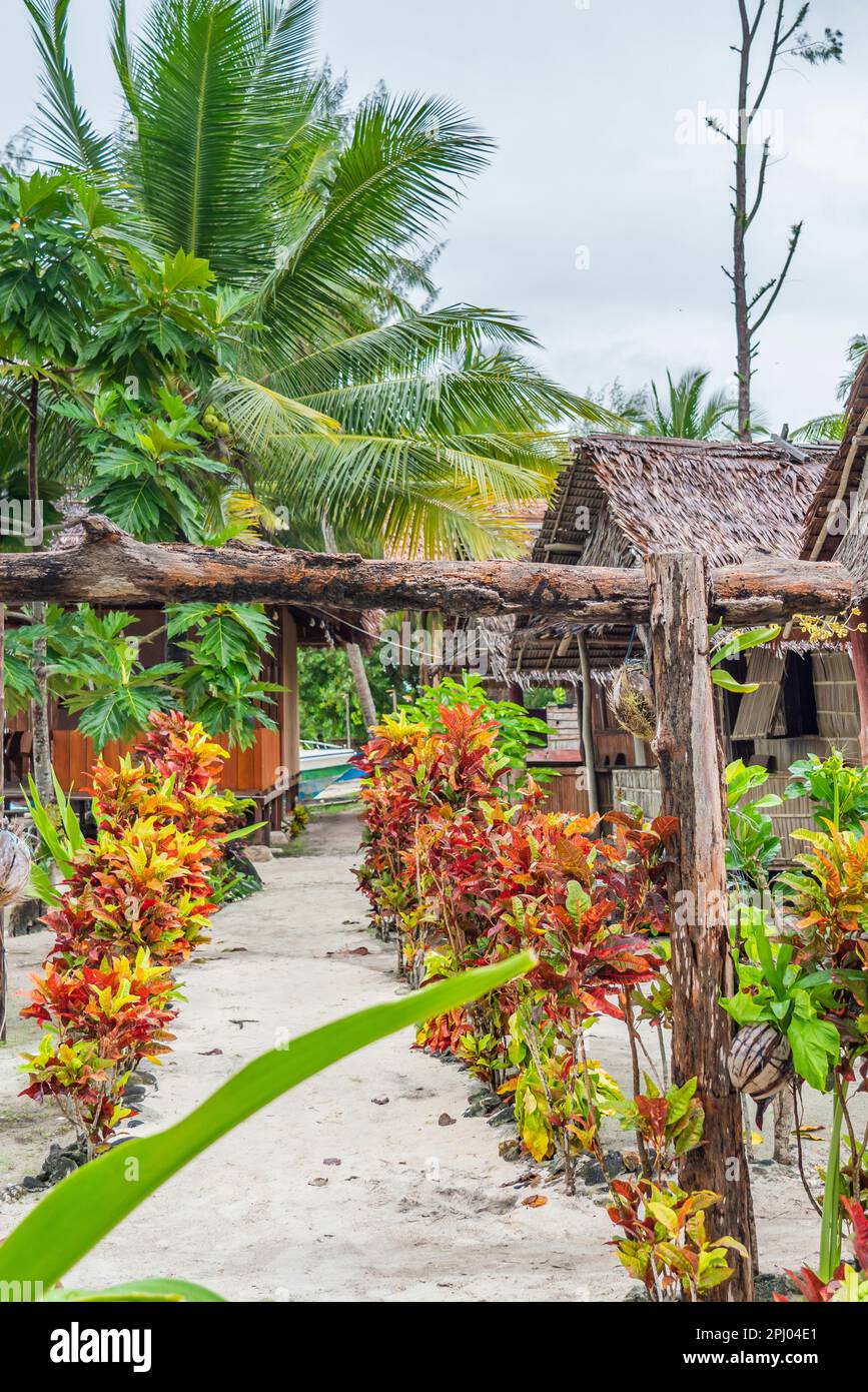 Kleine traditionell gebaute Bambushütten zwischen Palmen auf Fam Island, Raja Ampat, Indonesien, vertikal Stockfoto