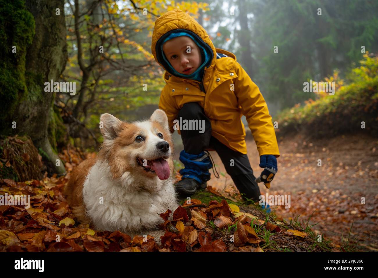 Kind auf dem Bergweg. Sie werden von einem Hund begleitet. Polnische Berge Stockfoto