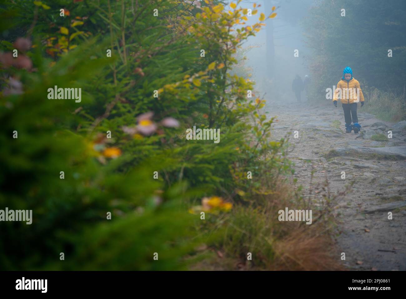 Das Kind wandert bei kühlem Herbstwetter auf einem Bergpfad. Polnische Berge Stockfoto