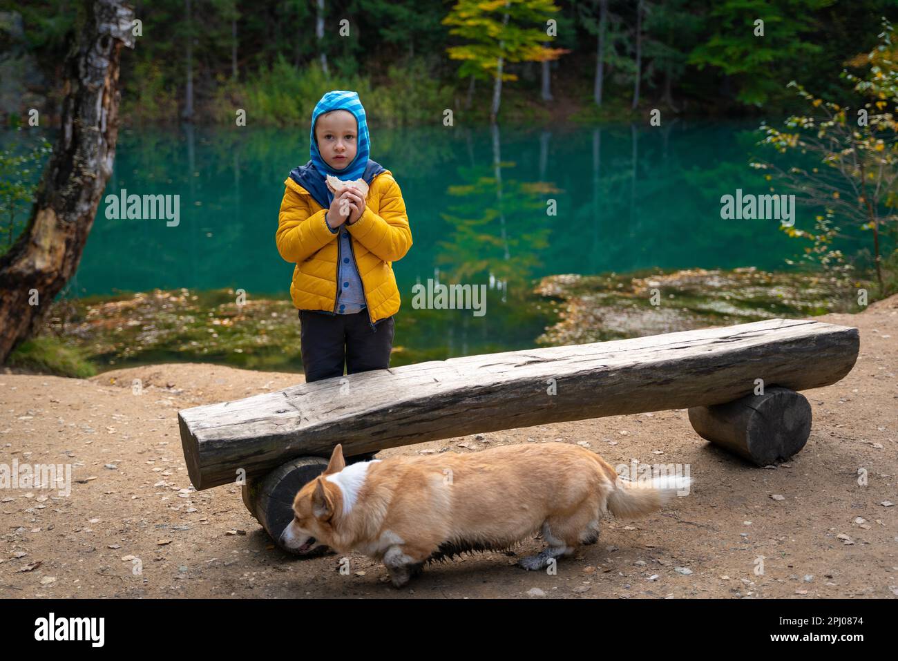 Ein Kind und ein Hund ruhen sich auf einer Bank an einem wunderschönen türkisfarbenen See aus. Polnische Berge Stockfoto