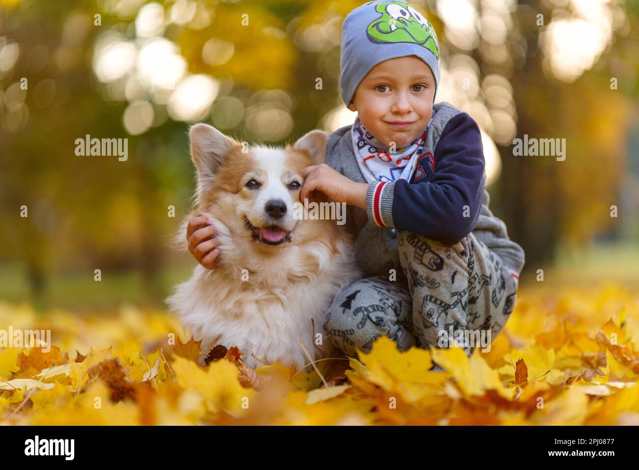 Freunde, Baby und Hund sitzen zusammen in wunderschönen goldenen Blättern. Herbst im Park. Ein siebenjähriger Junge, Polen, Europa Stockfoto