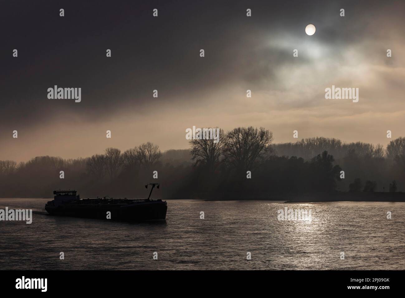 Rhein im Nebel im Herbst, Frachtschiff bei Mannheim, Baden-Württemberg, Deutschland Stockfoto
