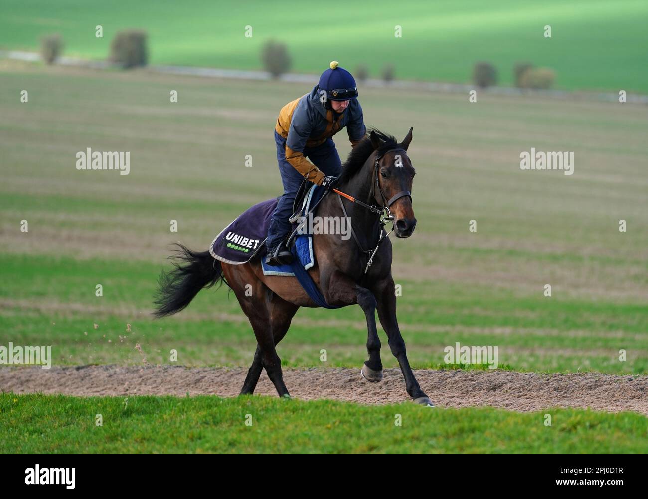 Aktenfoto von 30-03-2023 von Constitution Hill, von dem Nicky Henderson erwartet, eine Entscheidung darüber zu treffen, ob das Pferd in der nächsten Saison etwa 10 Tage nach seinem Lauf in der William Hill Aintree Hürde über Zäune geschickt wird. Ausgabedatum: Donnerstag, 30. März 2023. Stockfoto