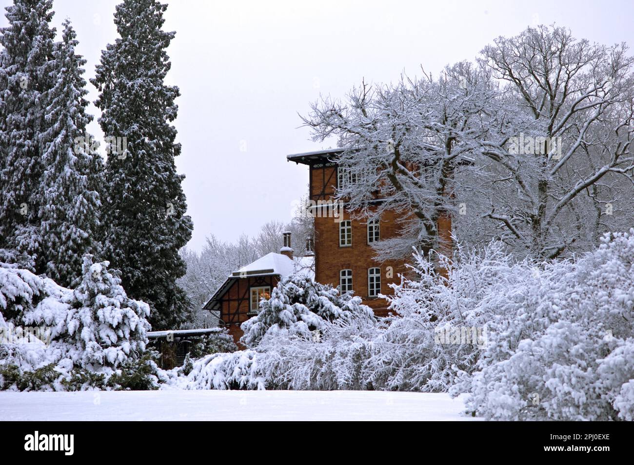 Knoops Park im Winter, Bremen, Lesum, Deutschland Stockfoto