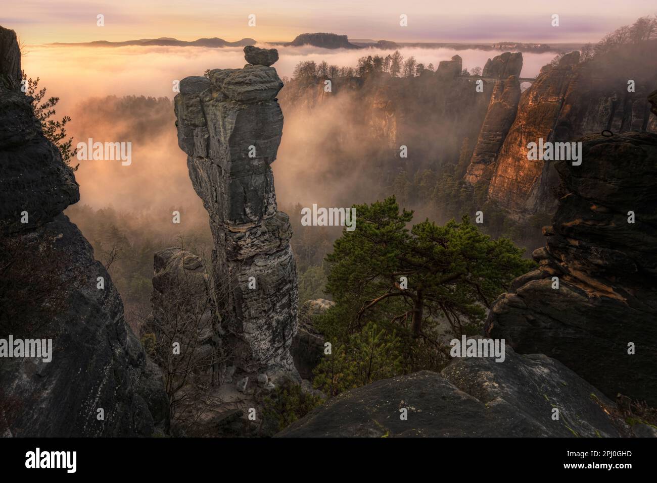Wehlnadel, Basteibrücke, Sachsenschweiz, Sachsen, Deutschland Stockfoto