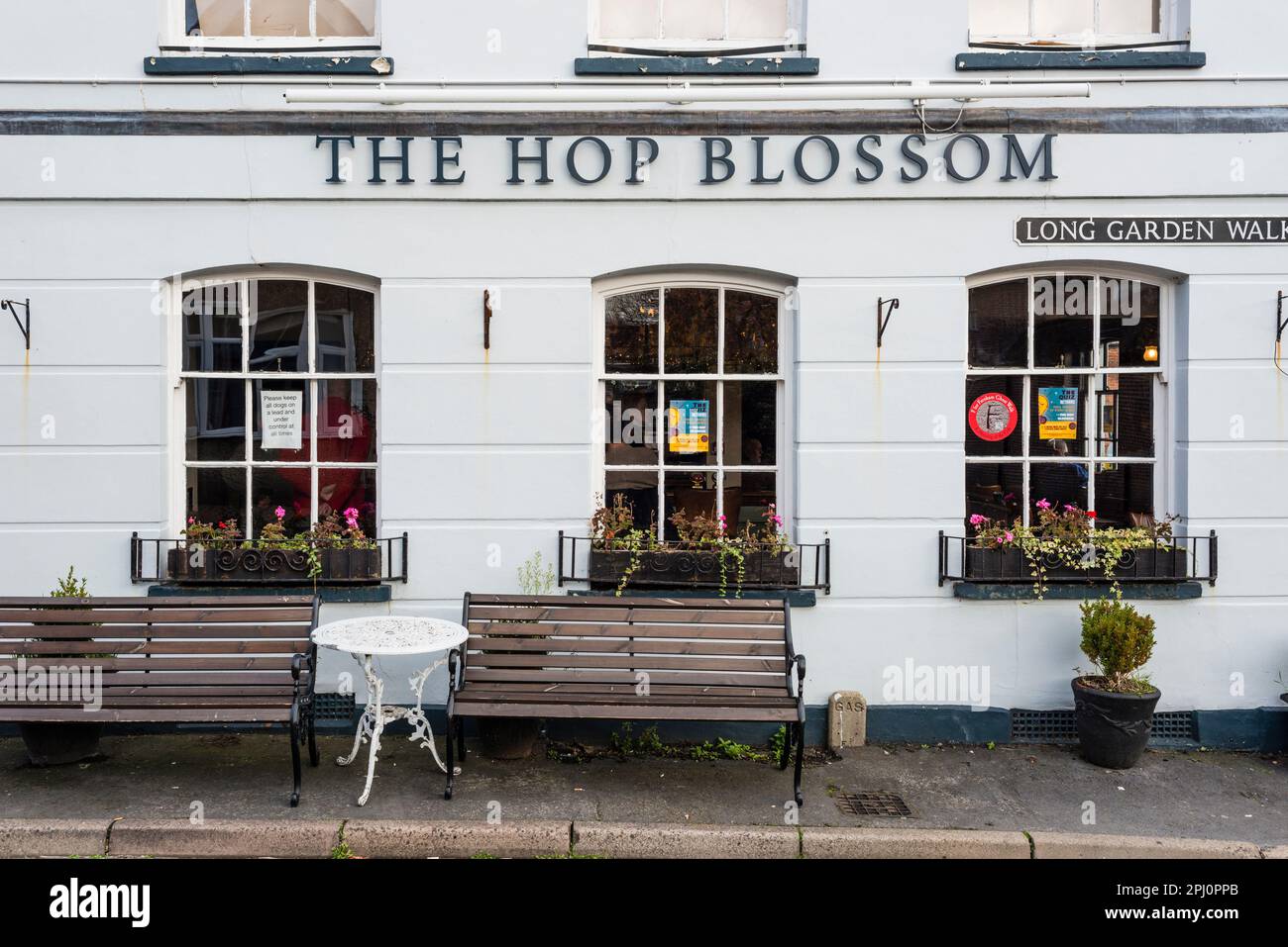 The Hop Blossom Pub, Farnham, Surrey, Großbritannien Stockfoto