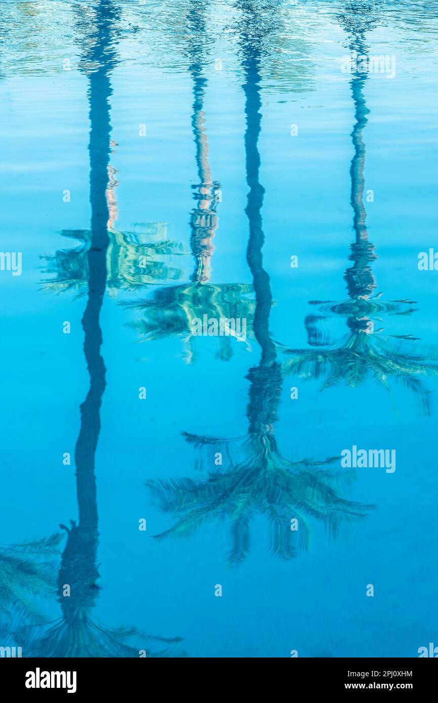 Wasserreflexionen von Palmen im Swimmingpool, tropische Reisen und touristischer Hintergrund Stockfoto