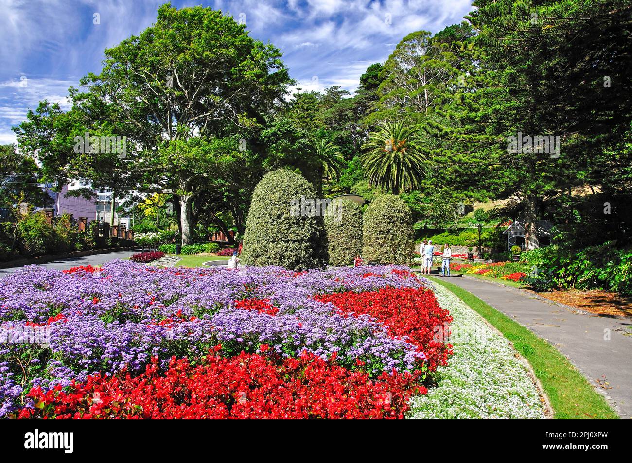 Bunte Blumen zeigt, Region Wellington Botanic Garden, Wellington, Wellington, Nordinsel, Neuseeland Stockfoto