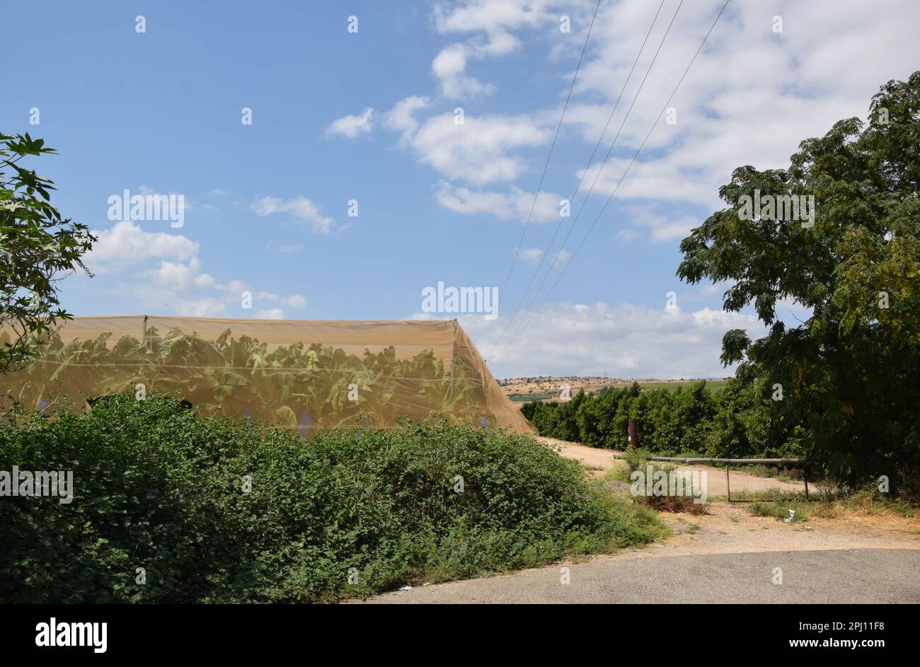 Convenience Beach in der Nähe des Naturschutzgebiets Arbel an der Westküste des Sees Galiläa, Israel Stockfoto