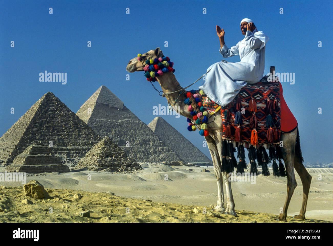 ARABER AUF EINEM KAMEL MIT MOBILTELEFON GROSSE PYRAMIDEN GIZEH RUINEN KAIRO ÄGYPTEN Stockfoto