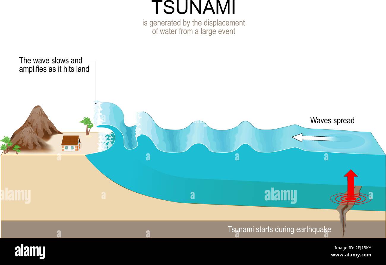 Tsunami ist eine Reihe von riesigen Wellen, die durch Unterwasserbeben erzeugt wurden. Wellen bewegen sich mit Unterschallgeschwindigkeit über die Wasseroberfläche. Vektordiagramm Stock Vektor