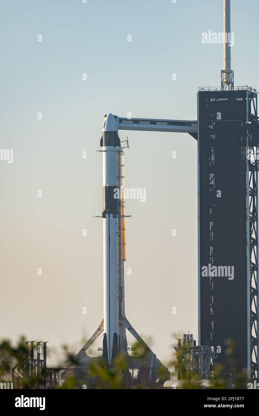 SpaceX Falcon 9 mit Crew Dragon Capsule Stockfoto