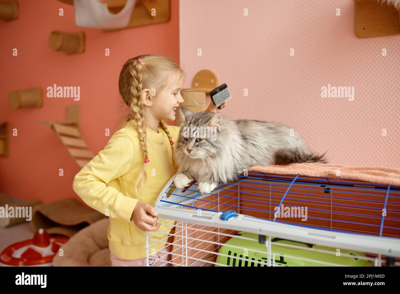 Ein kleines Mädchen, das das Fell eines Kätzchens durchkämmt und Zeit im Tierheim verbringt Stockfoto