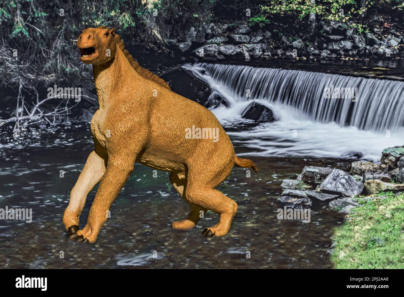 Moropus kommt zu uns aus dem Burdigalier- und Langhian-Zeitalter der Miozän, vor etwa 20,4 bis 13,6 Millionen Jahren. Dieses Modell stammt von CollectA (2015). Stockfoto