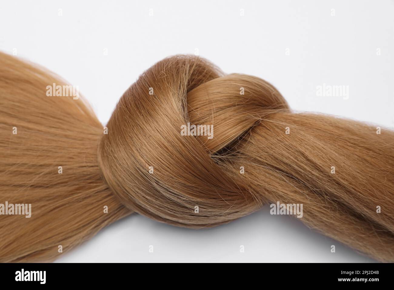 Wunderschöne, dunkelblonde Haarsträhne mit Knoten auf weißem Hintergrund Stockfoto