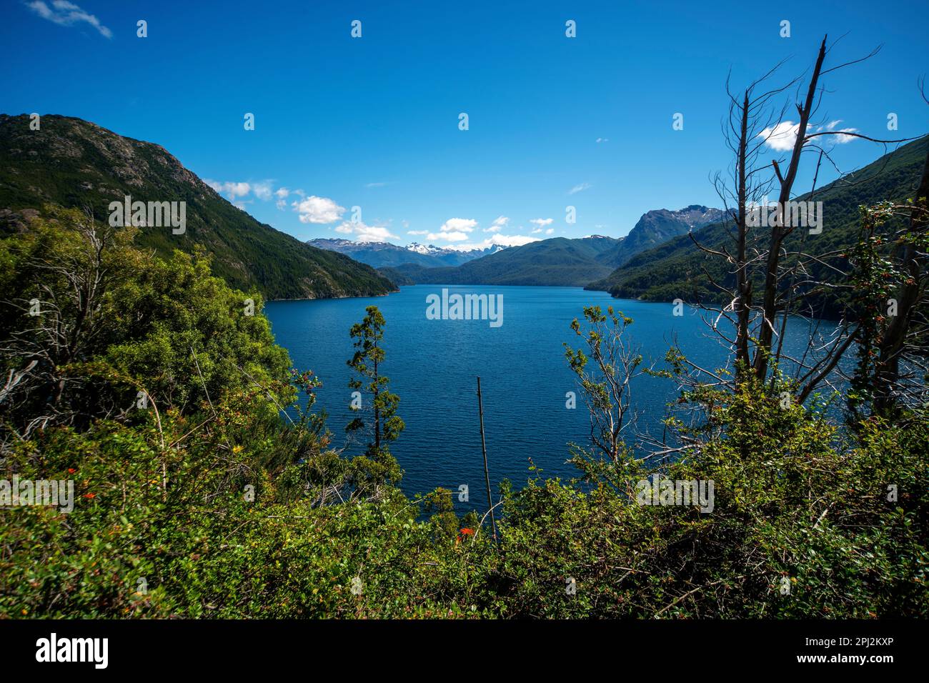 Rivadavia Lake am Los Alerces National Park, Provinz Chubut, Argentinien Stockfoto