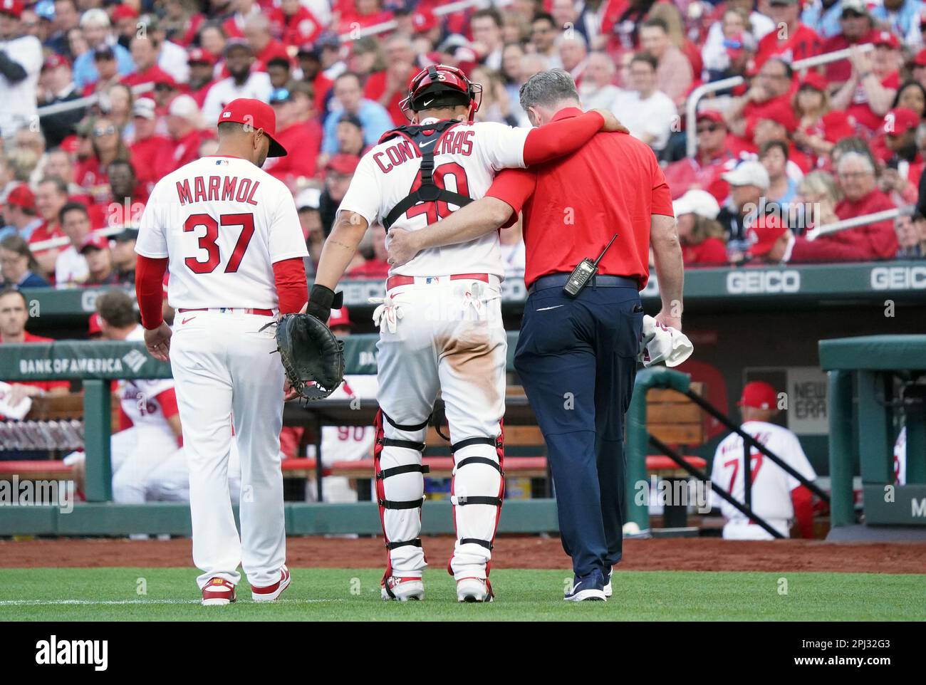 St. Louis, Usa. 30. März 2023. St. Louis Cardinals Catcher Willson Contreras wird abseits des Spielfelds von Trainer Chris Conroy und Manager Oliver Marmol unterstützt, nachdem er im achten Inning gegen die Toronto Blue Jays im Busch Stadium in St. eine Knieverletzung erlitten hatte Louis am Donnerstag, den 30. März 2023. Foto: Bill Greenblatt/UPI Credit: UPI/Alamy Live News Stockfoto