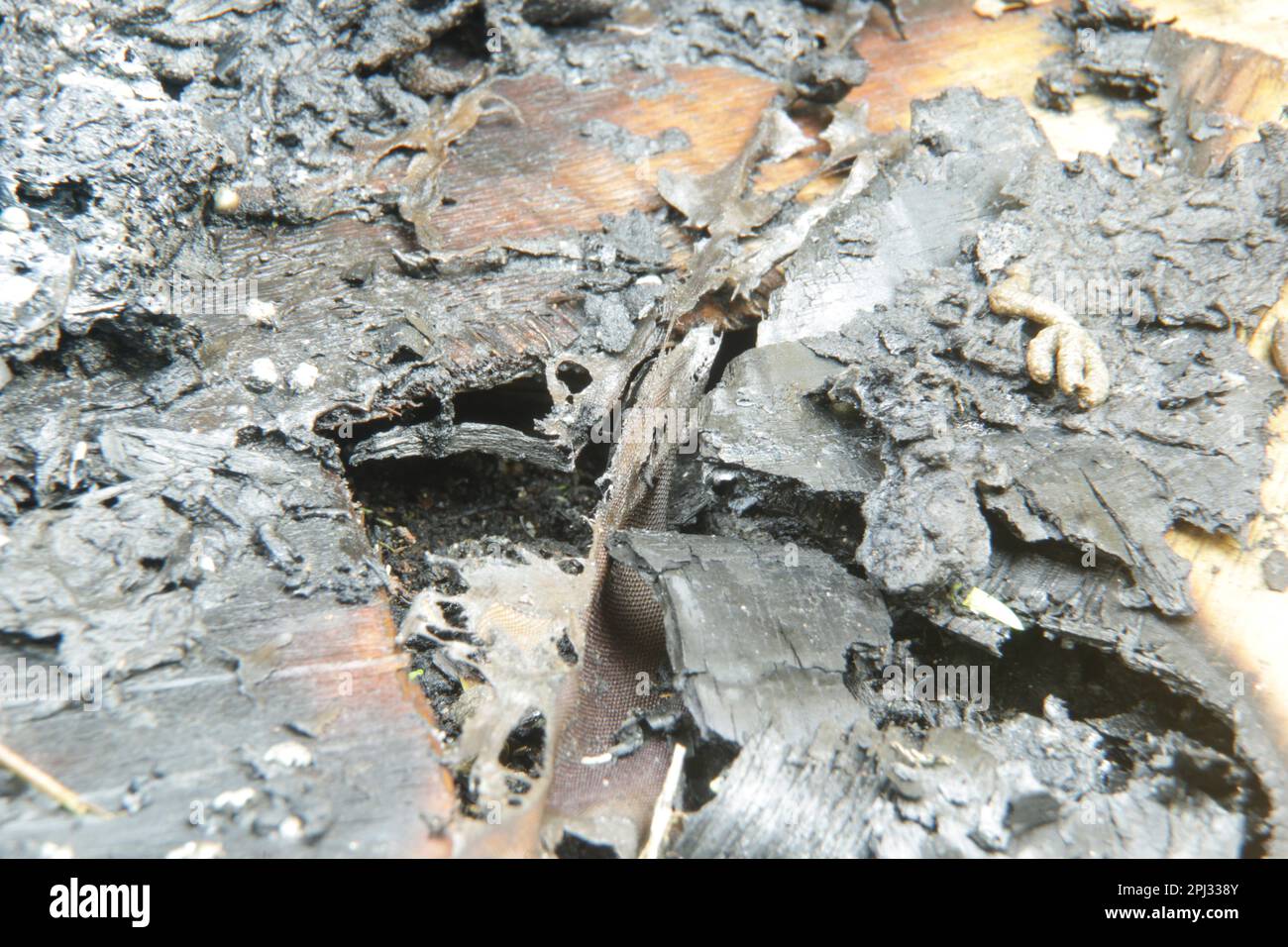 Gebrannte Holztafel. Stockfoto