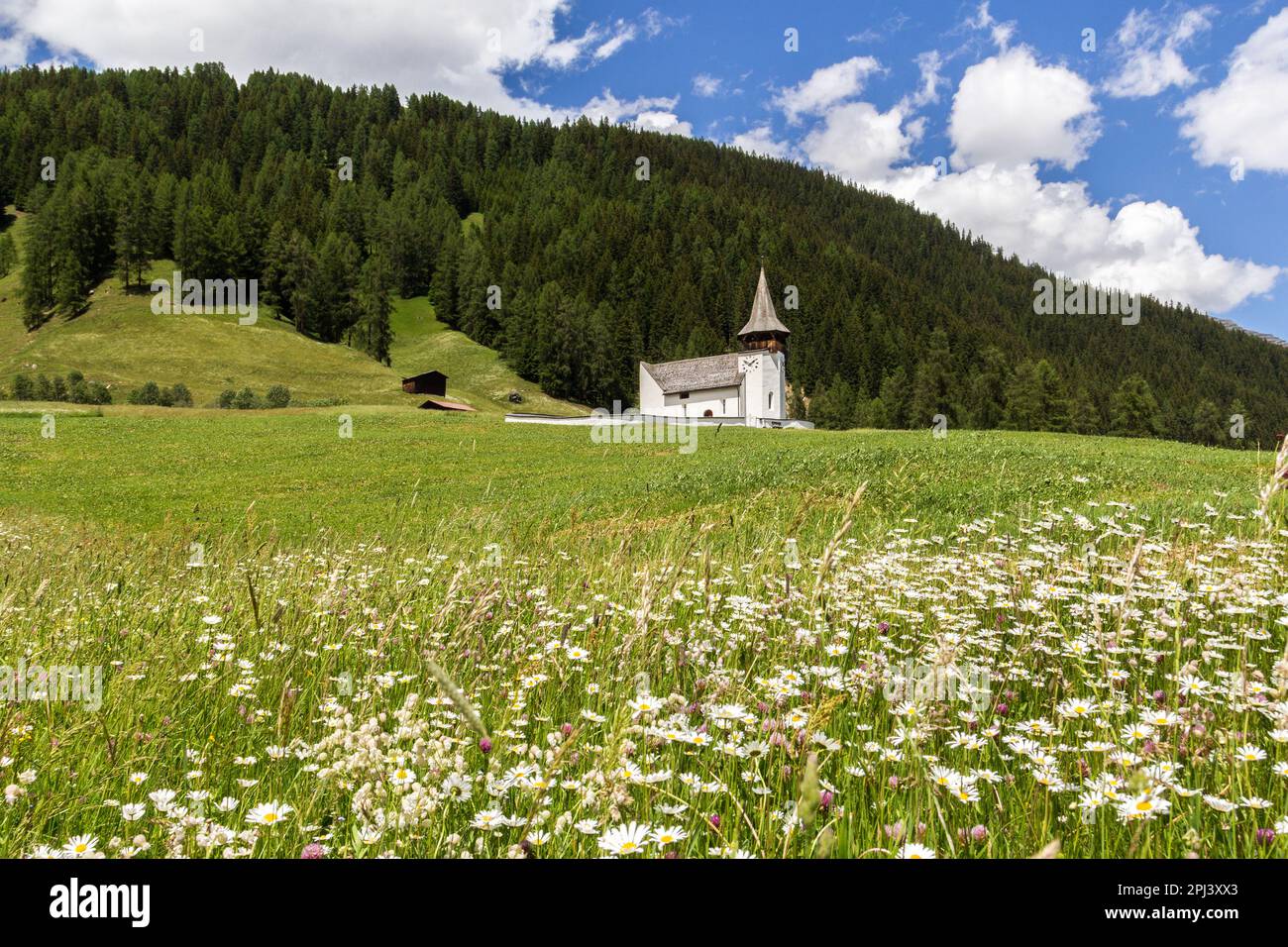 Frauenkirch auf dem grünen Hügel, im Bezirk Davos, Grisons, Schweiz Stockfoto