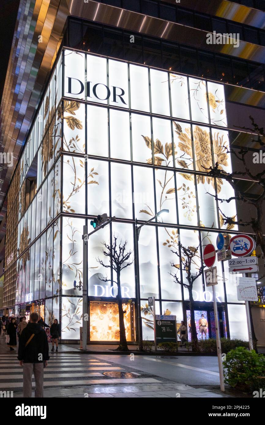 Abendlicher Blick auf den Dior Store im Einkaufsviertel Ginza, Tokio, Japan Stockfoto