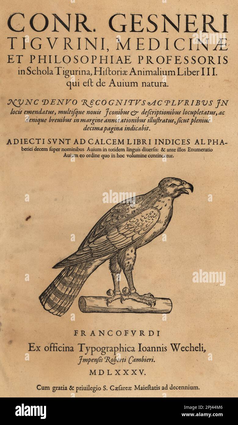 Titelseite mit Vignette einer Falkenart, möglicherweise des eurasischen Sperber, Accipiter nisus oder Wanderfalken, Falco peregrinus, mit Glocken an den Füßen. Holzschnitt-Gravur nach einer Illustration von Lucas Schan und Conrad Gessner aus Conrad Gessner's Historiae Animalium, De avium natura, (Naturgeschichte der Tiere: Vögel), Frankfurt, Wechel for Cambier, 1585. Stockfoto