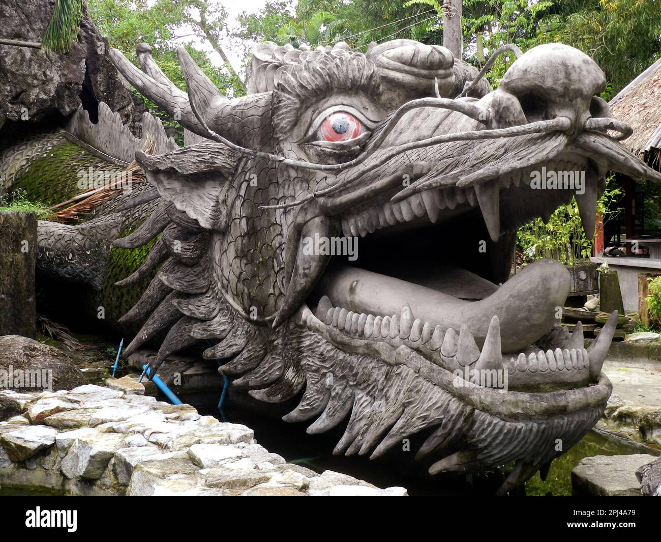 Thailand, Phuket Island: Beeindruckender Drachenkopf, der aus seiner Höhle im Zoo hervortritt. Stockfoto