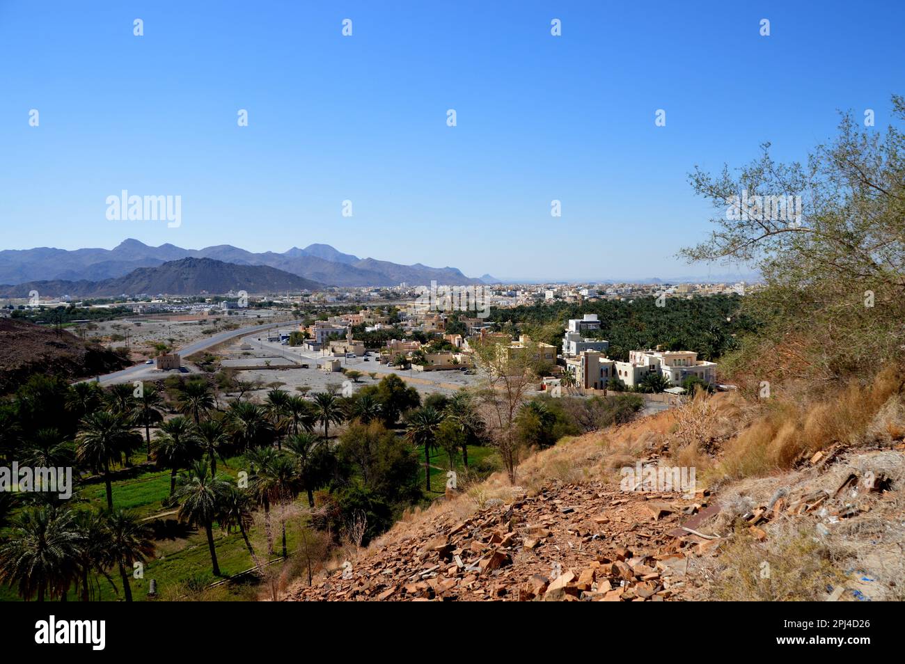Oman, Birkat al Mawz: Blick in Richtung Nizwa mit einem Teil der modernen Stadt. Stockfoto