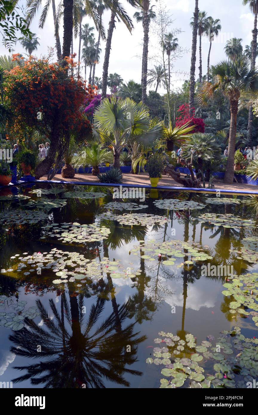 Marokko, Marakech: Majorelle-Garten, geschaffen von Jacques Majorelle, seit 1923. Yves Saint Laurent und Pierre Bergé kauften es in den 198 Jahren Stockfoto