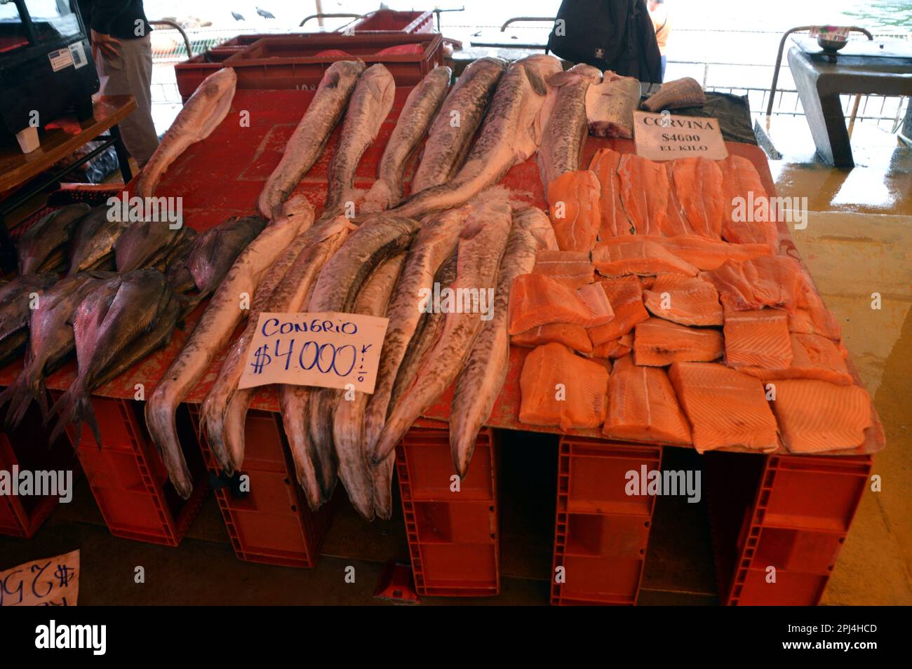 Chile. Valdivia: Auf dem Fischmarkt: Meeraale und Wolfsbarsch. Stockfoto