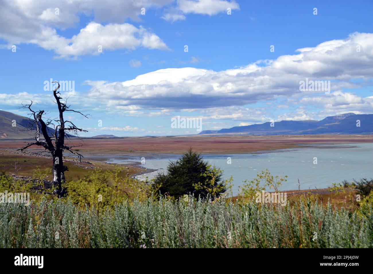Argentinien, Nationalpark Los Glaciares: Der Brazo Rico (Rico-Arm) des Lago Argentino endet in ausgedehnten Feuchtgebieten. Stockfoto