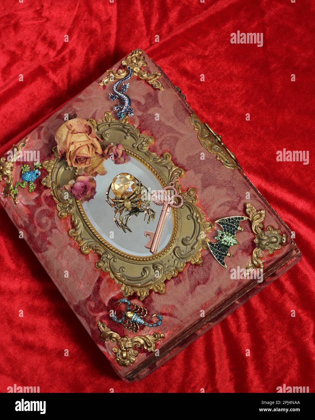 Antikes Buch Mit Bunten Edelsteinen. Märchenhaftes Buch mit Skorpion und Fledermaus Stockfoto