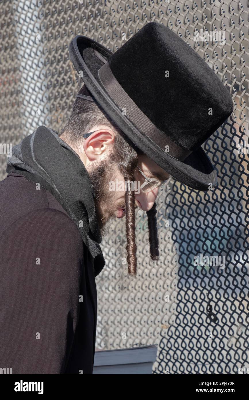 Ein orthodoxer jüdischer Mann mit langen, lockigen Peyus, der die Regel in Leviticus befolgt, nicht die Ecke des Bartes zu schneiden. In Brooklyn, New York. Stockfoto