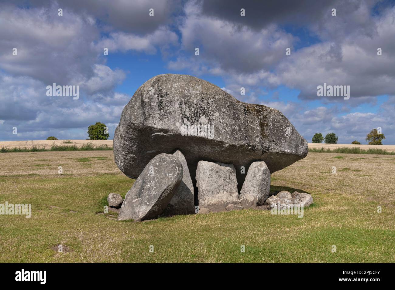 Irland, County Carlow, Browneshill Dolmen, ein megalithisches Portalgrab mit einem Capstone, das auf 150 metrische Tonnen geschätzt wird und aus dem Jahr 400 stammt Stockfoto