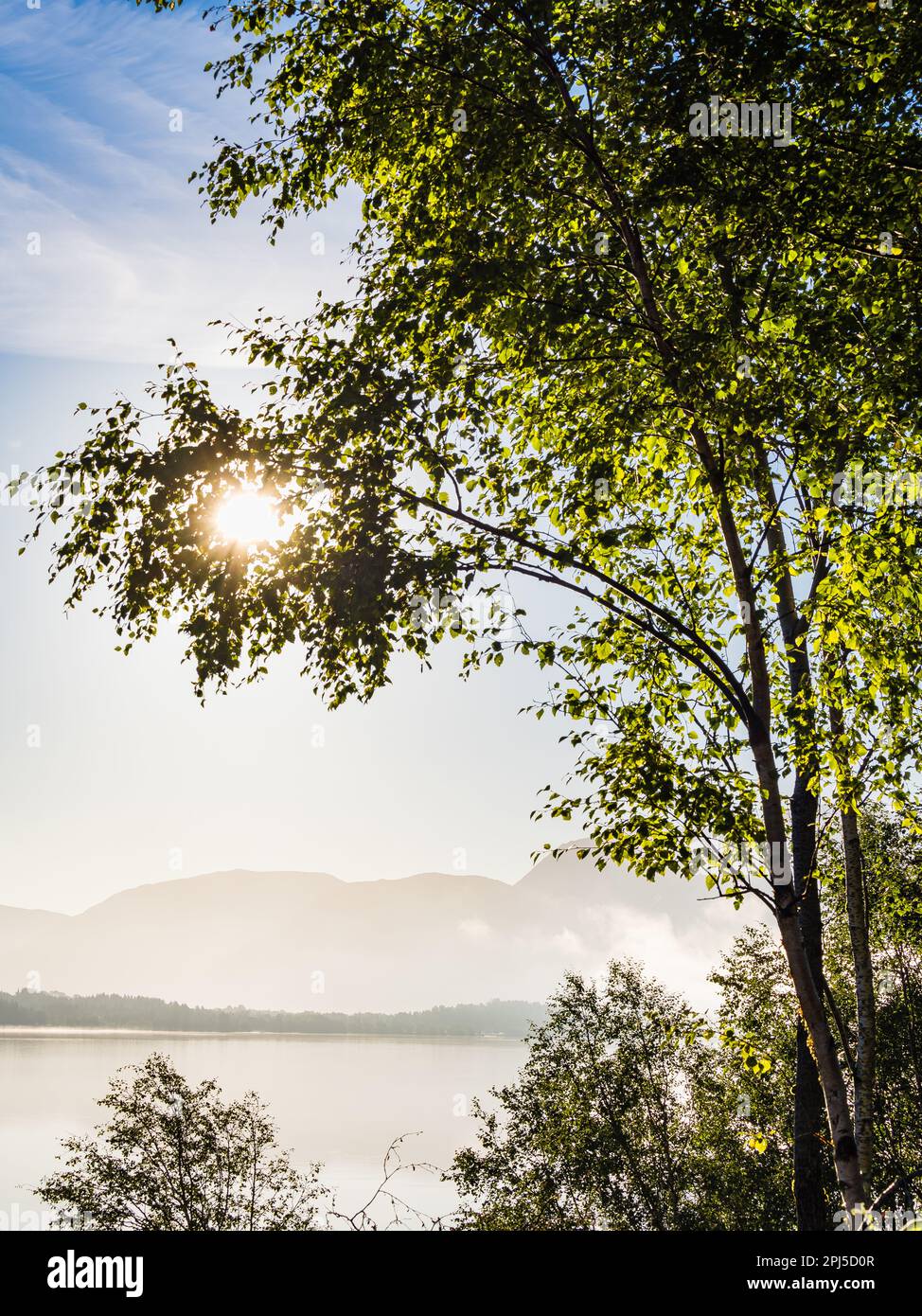 Eine ruhige Morgenszene in Norwegen, die die Schönheit der Natur widerspiegelt - Nebel, Bäume, Sonnenlicht und stilles See-Wasser. Stockfoto