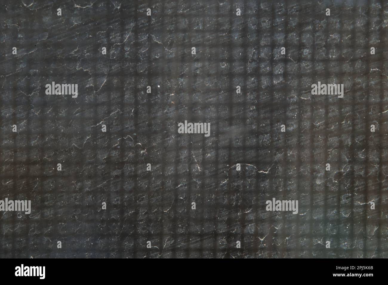 Nahaufnahme eines schmutzigen Fensters mit Sand, Staub und quadratischem Gittermuster aus einem Insektenschutznetz. Hintergrund der Grunge-Textur. Stockfoto