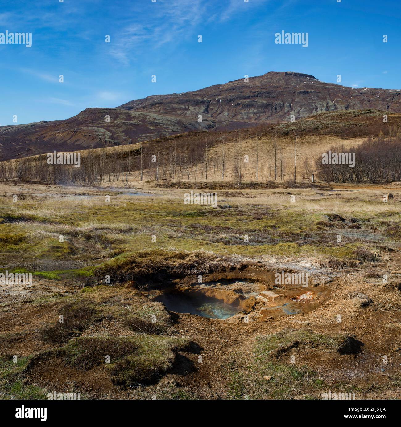 Die Landschaft der vulkanischen Wüste in der Nähe von Laugarfjall, Island. Stockfoto