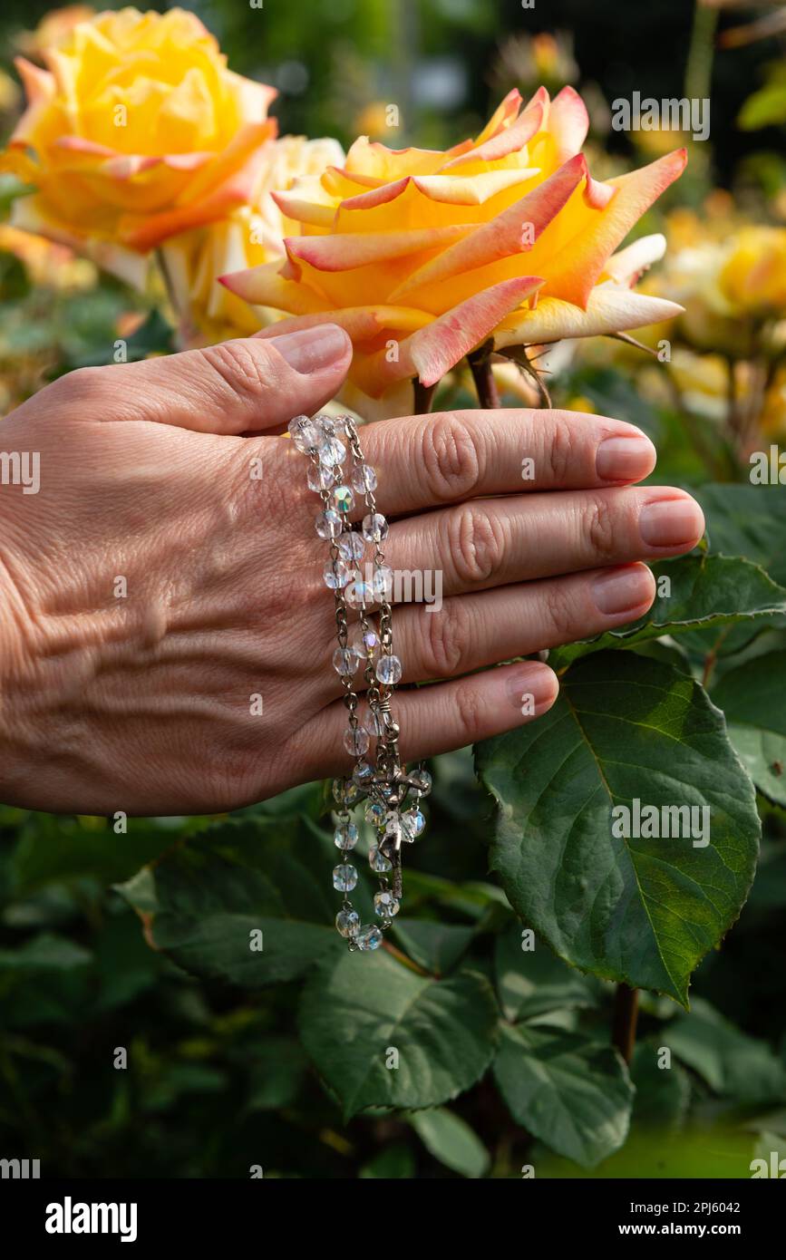 Zugeschnittener Blick auf weibliche Hände, die Rosenkranz mit Glasperlen auf gelbem Rosenhintergrund halten, selektiver Fokus. Stockfoto