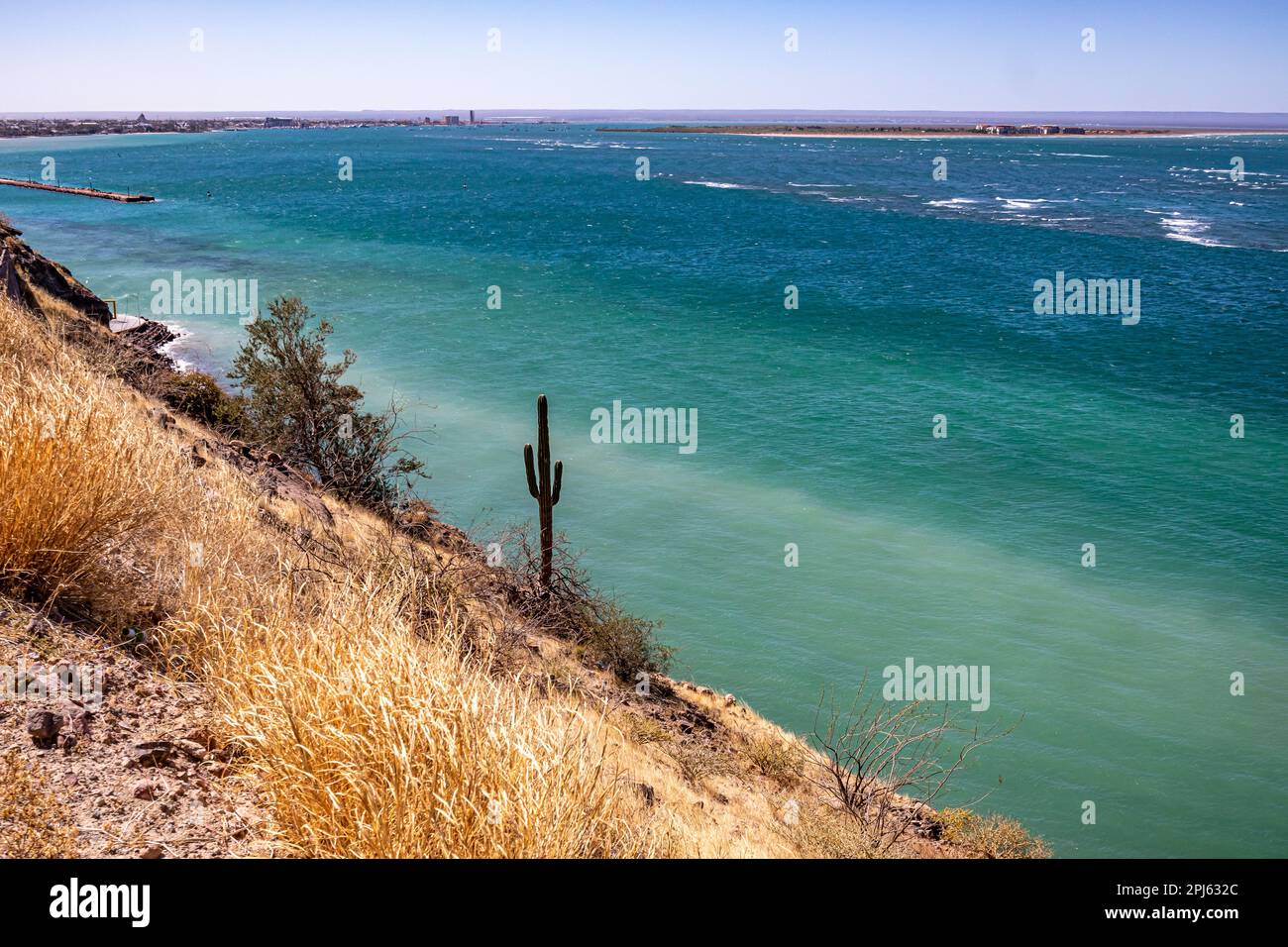 Mexikanische Küstenlandschaft mit Hügeln in trockenem Gelände mit Kakteen, Meer im Hintergrund vor klarem blauen Himmel, trockenes wildes Gras und wildes Dickicht, sonnig Stockfoto