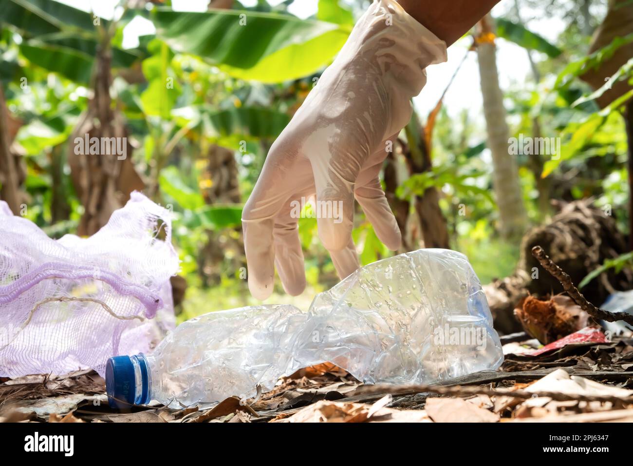 Die Leute nehmen Plastikflaschen in Müllsäcke. Landwirtschaft und Klimawandel, Mikroplastikabfälle. Lebensmittel- und Kunststoffverpackungsindustrie Stockfoto