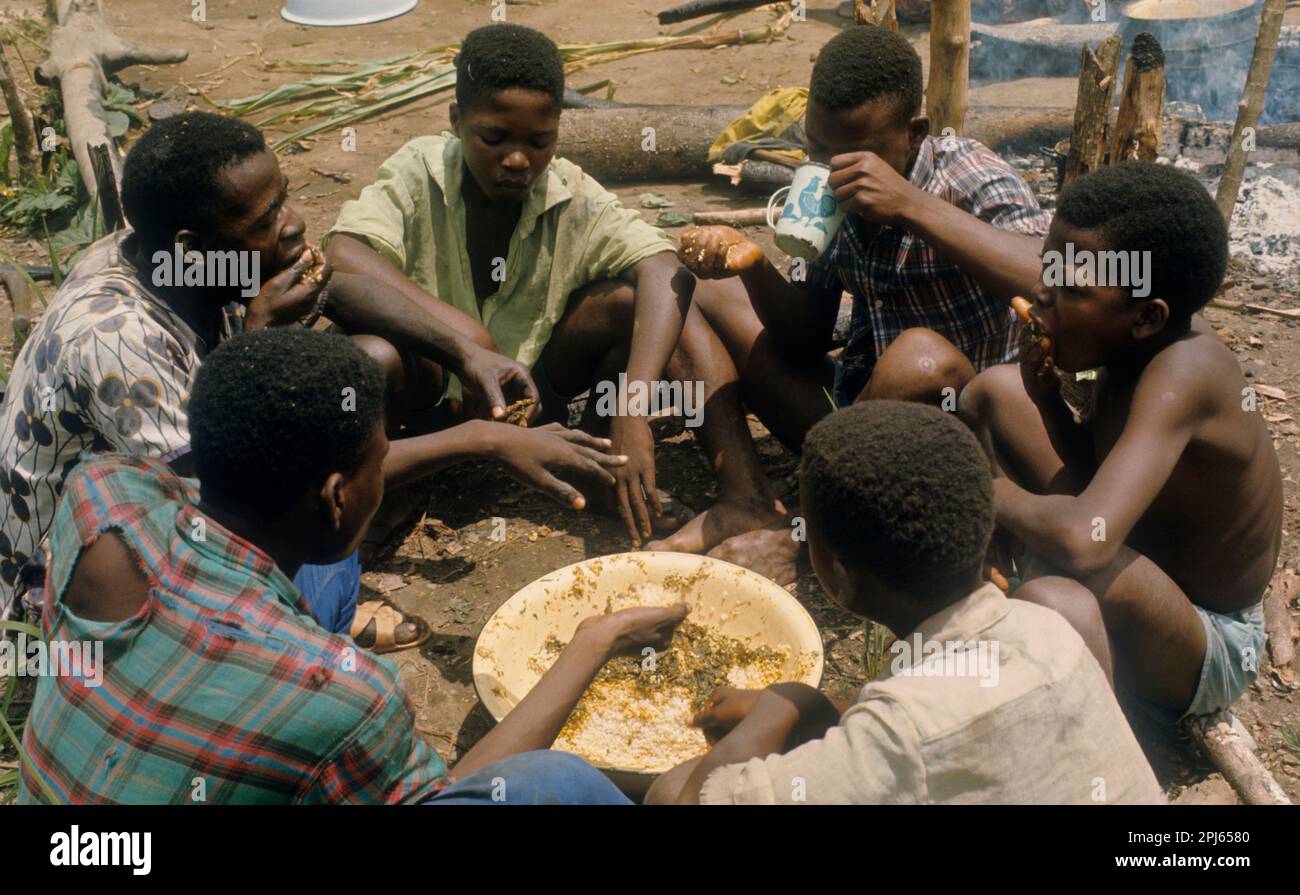 Gemeinschaftliches Essen auf dem Feld von Männern der Kpelle ethnischen Gruppe Liberia, Westafrika. Die Kpelle-Sprache gehört zur Niger-Kongo-Sprachfamilie, Unterfamilie Mande. Stockfoto