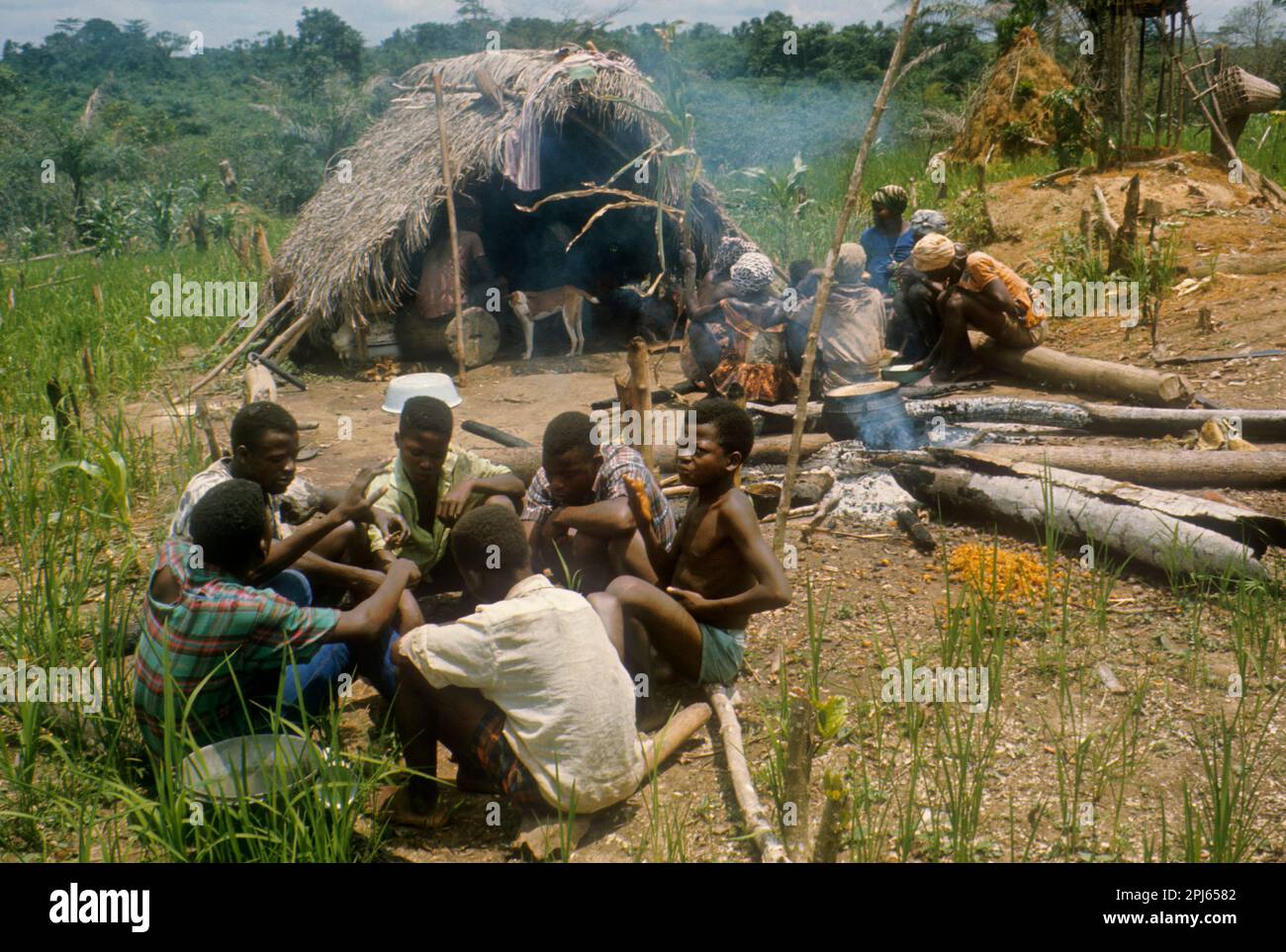 Afrika, Liberia. Gemeinschaftsmahlzeit im Feld von Kpelle-Männern und -Frauen, die getrennte Gruppen bilden. Die Sprache Kpelle gehört zur Zweigstelle Mande (oder Unterfamilie) der Familie Niger-Kongo Stockfoto