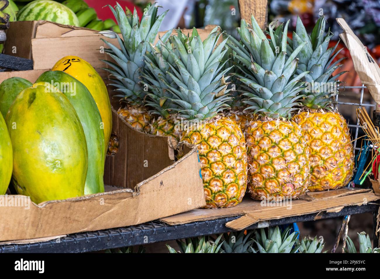 Tropische Früchte zum Verkauf auf einem Markt in Panama. Ananas, Mangos, Wassermelonen und Bananen. Stockfoto